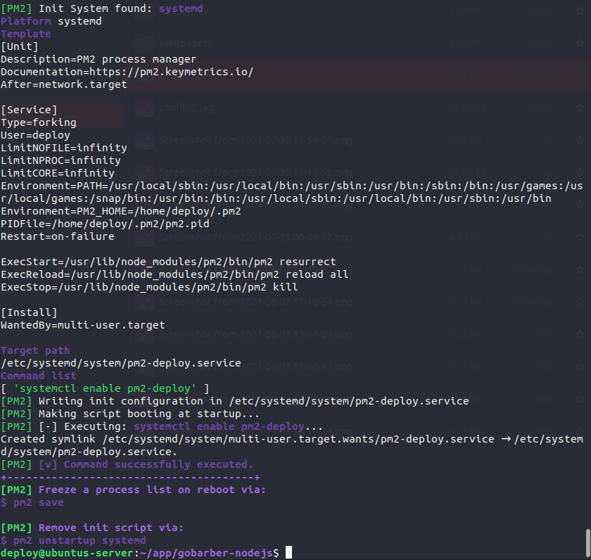 pm2-startup-config-02